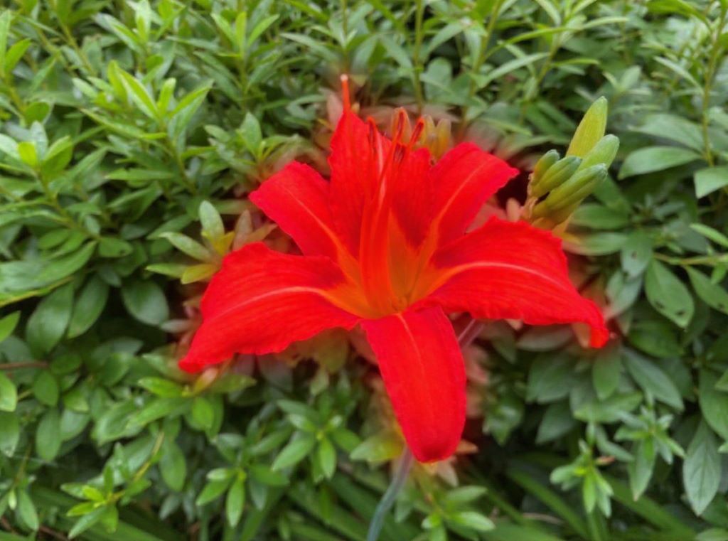 색 변경